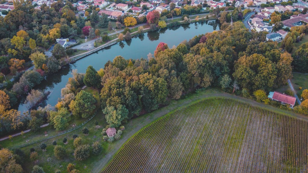 Stunning aerial shot of Bordeaux's vineyards and river in autumn colors.